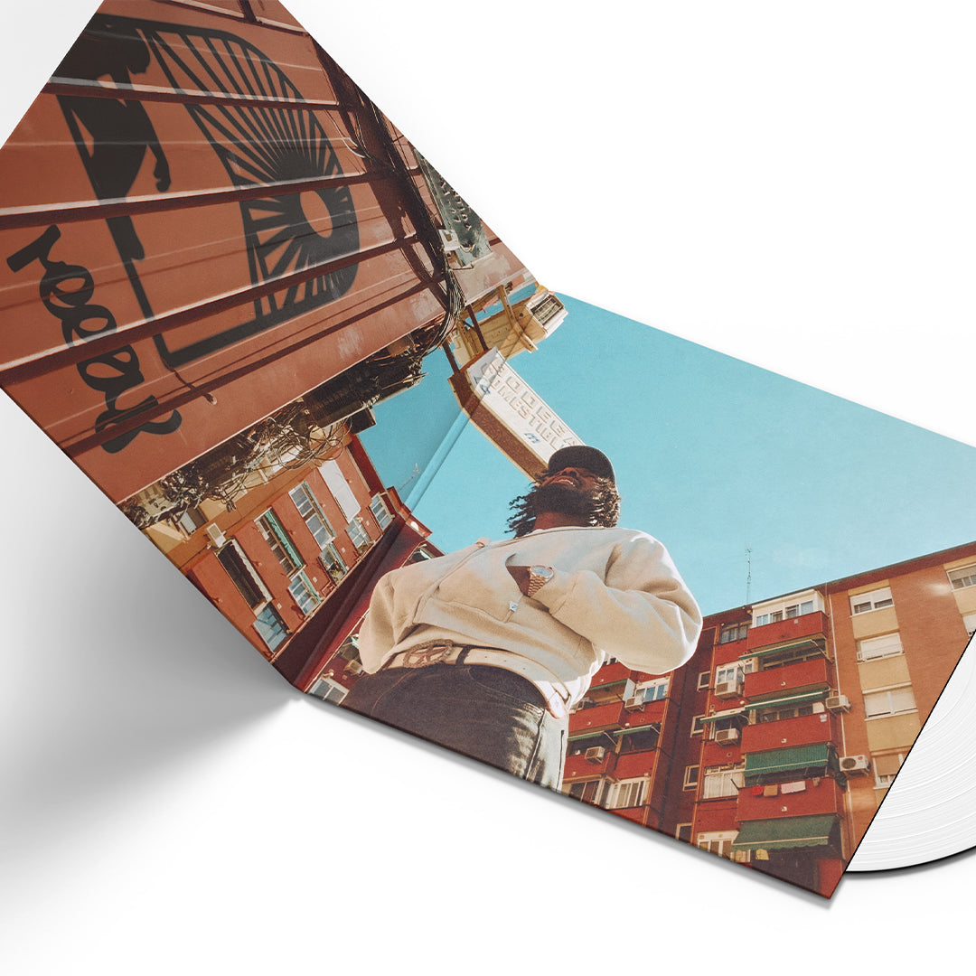 BORN SPINNER Vinyl Album